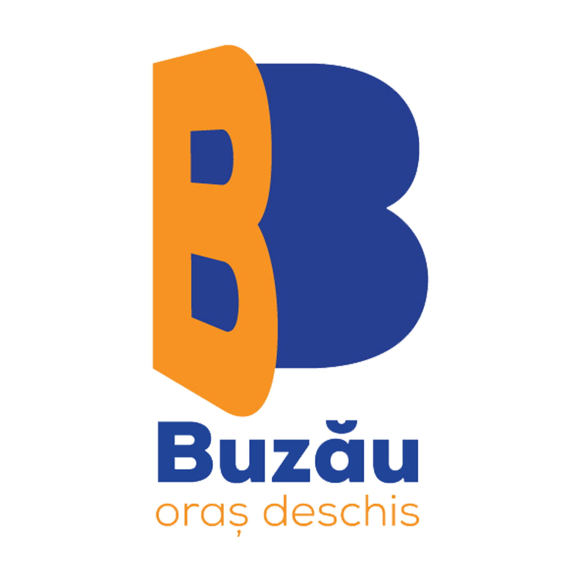 buz-3